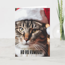 Feestelijke Tabby Kaart