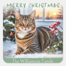 Feestelijke Tabby Kat In Sneeuw Schattig Dier Kers
