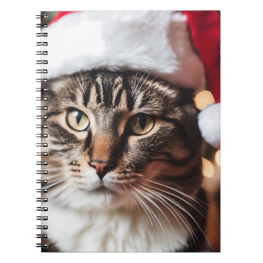Feestelijke Tabby Notitieboek (Voorkant)
