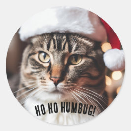 Feestelijke Tabby Ronde Sticker