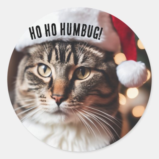 Feestelijke Tabby Ronde Sticker (Voorkant)