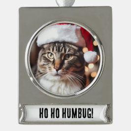 Feestelijke Tabby Verzilverd Banner Ornament