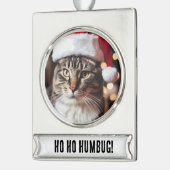 Feestelijke Tabby Verzilverd Banner Ornament (Links)