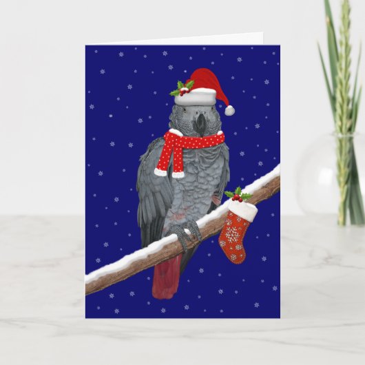 Feestelijke Veren Kaart (Voorkant)