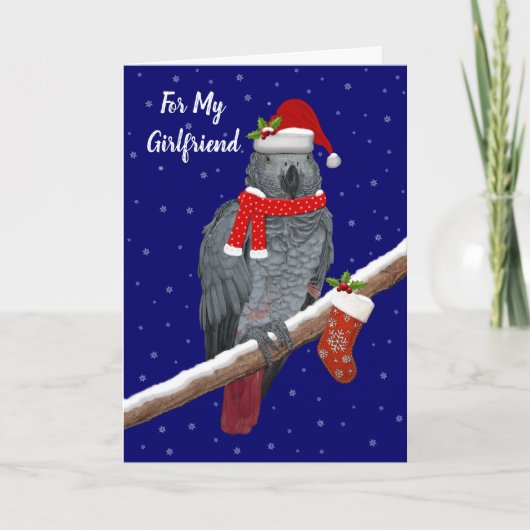 Feestelijke Veren (Vriendin) Kaart (Voorkant)