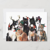 Feestelijke Waterverf Katten met Santa Hats Christ Feestdagenkaart (Voorkant)