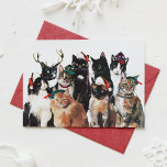 Feestelijke Waterverf Katten met Santa Hats Christ Feestdagenkaart<br><div class="desc">Stuur uw vakantiegroet naar familie en vrienden met deze leuke en feestelijke vakantiekaart met waterverf katten met feestelijke vakantie petten. Personaliseer door uw bericht en foto toe te voegen. Deze kat kerstkaart is perfect voor kattenliefhebbers!</div>