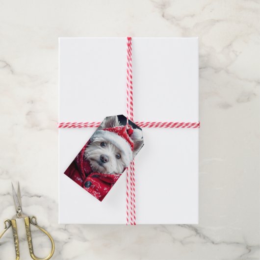 Feestelijke Westie in de sneeuw Cadeaulabel (Met Touw)