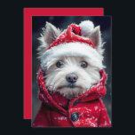 Feestelijke Westie in de sneeuw Kaart<br><div class="desc">Deze schattige West Highland White Terrier is klaar voor de feestdagen! Gekleed in een gezellige kerstmuts en rode winterjas, vangt deze kleine pup de feestelijke geest perfect. Met sneeuw die zachtjes zijn vacht en vacht afstoffen, is dit winterwonderlandmoment vol warmte en charme. De expressieve ogen en knoopneus van de Westie...</div>