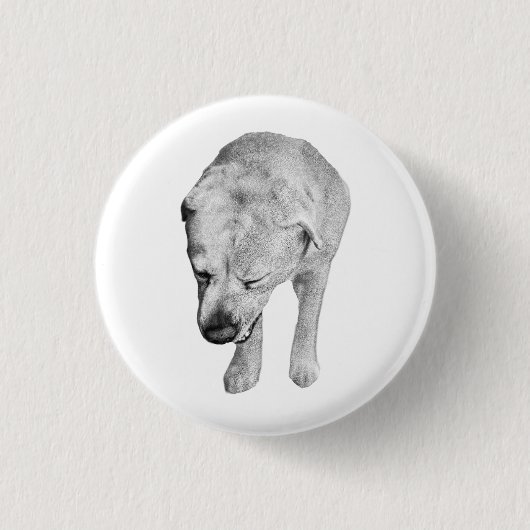 Feestelijke Wink, Shaded Lab Badge Ronde Button 3,2 Cm (Voorkant)