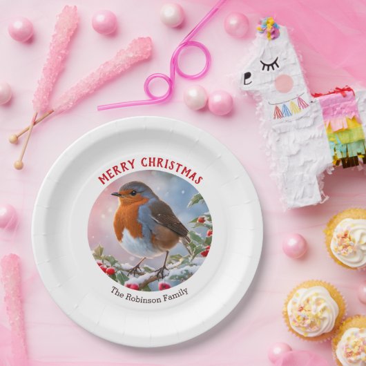 Feestelijke Winter Robin  Waterverf Kerst Papieren Bordje (Feest)
