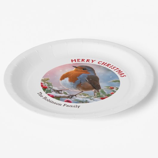 Feestelijke Winter Robin  Waterverf Kerst Papieren Bordje (Gekanteld)