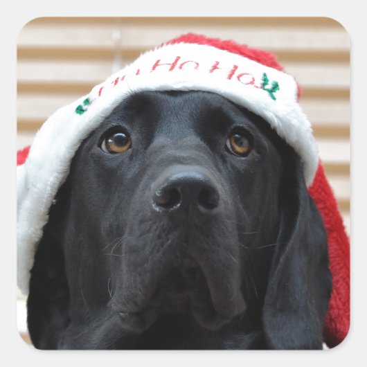 Feestelijke zwarte labrador vierkante sticker (Voorkant)