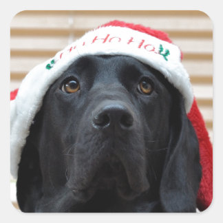 Feestelijke zwarte labrador vierkante sticker