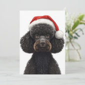Feestelijke zwarte poedel in kerstmannenhoed illus feestdagenkaart (Staand voorkant)