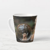 FEESTEN 11 LATTE MOK (Linkerhoek)