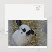 Feestgeschenken Briefkaart (Voorkant / Achterkant)