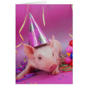 Feestje!