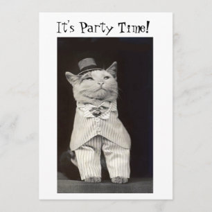 Feestkaart voor de kat kaart