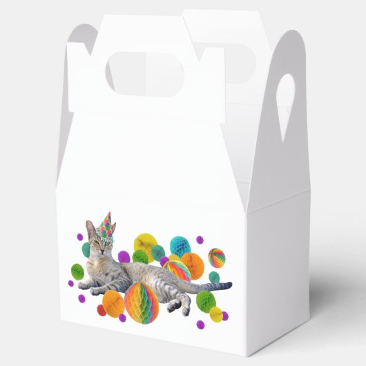 Feestkat Favor Box Bedankdoosjes (Geopend)