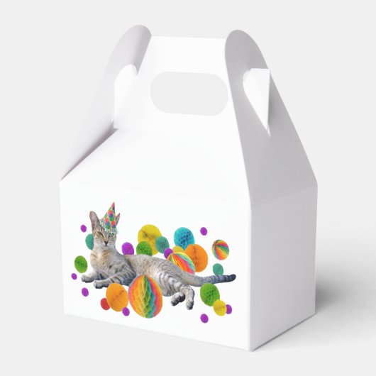 Feestkat Favor Box Bedankdoosjes (Voorkant Zijde)