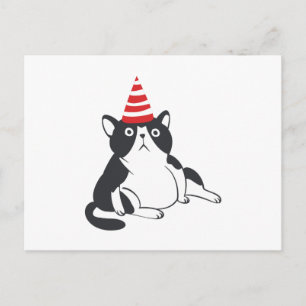 Feestkat - Kies achtergrondkleur Briefkaart