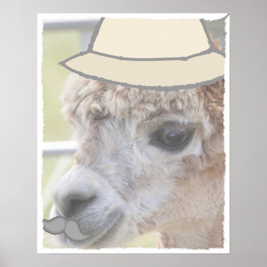 Feestlama met een snor poster (Voorkant)