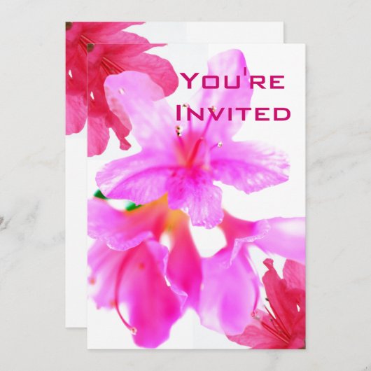 Feestlinks Kaart (Voorkant / Achterkant)