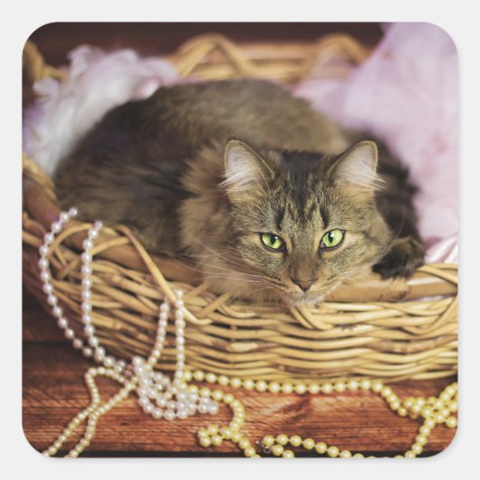 feestmeisjes stickers (Voorkant)