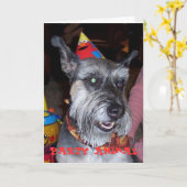 Feestneus, de Kaart van de Verjaardag (Gele Bloem)