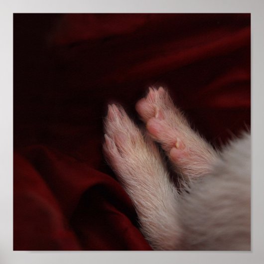 FEET POSTER (Voorkant)