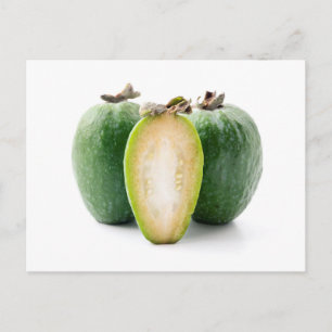 Feijoa  briefkaart