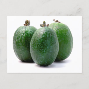 Feijoa Briefkaart