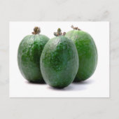 Feijoa Briefkaart (Voorkant)