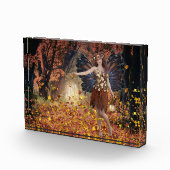 feilloos fotoblokken (Rechts)