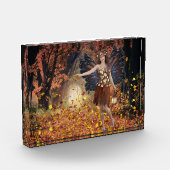 feilloos fotoblokken (Links)