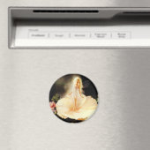 feilloos magneet (Insitu (Vaatwasser))