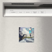 feilloos magneet (Insitu (Vaatwasser))