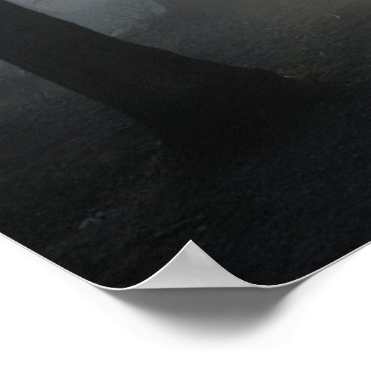 feilloos poster (Hoek)