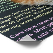 Feit 3 poster (Hoek)