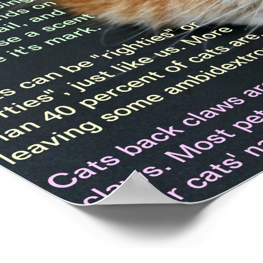 Feit 3 poster (Hoek)