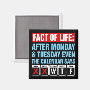 Feit van het Leven Agenda Zegt WTF Humor Magneet
