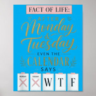 Feit van het Leven Kalender Zegt Wat Op Aarde Humo Poster