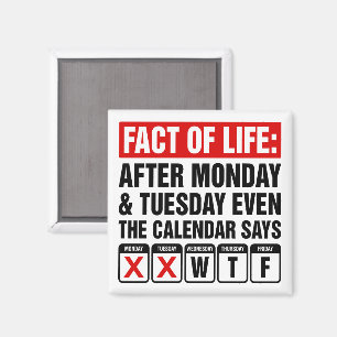 Feit van het Leven Kalender Zegt WTF Humor Magneet