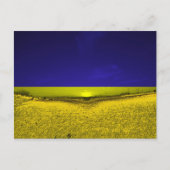 Feld in Farben der Ukraine Briefkaart (Voorkant)