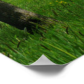 Feldweg am Rapsfeld.Frühling, Maulbronn-"Schmie", Poster (Hoek)