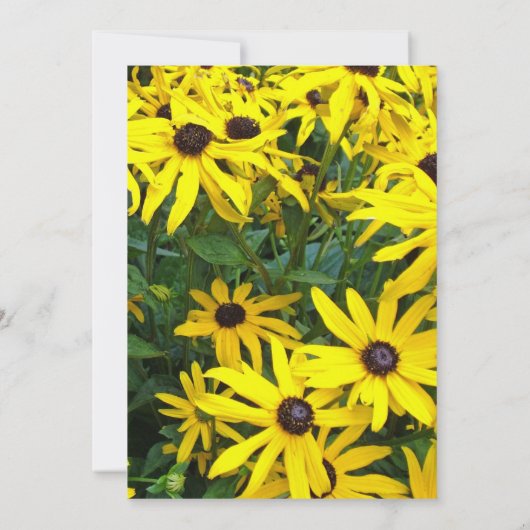 felgele zomerdageraad voor bloemen bruiloft kaart (Achterkant)