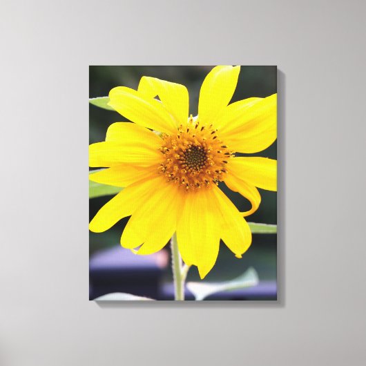  felgele zonnebloem close-up canvas afdruk (Voorkant)