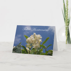 Felice Anniversario - Gelukkig Jubileum Kaart