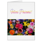 Felices Pascuas spanish Happy Pasaster (Voorkant)
